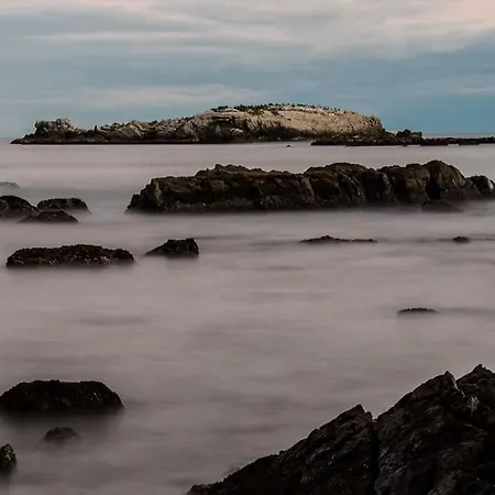 Puro Estrecho * Algeciras
